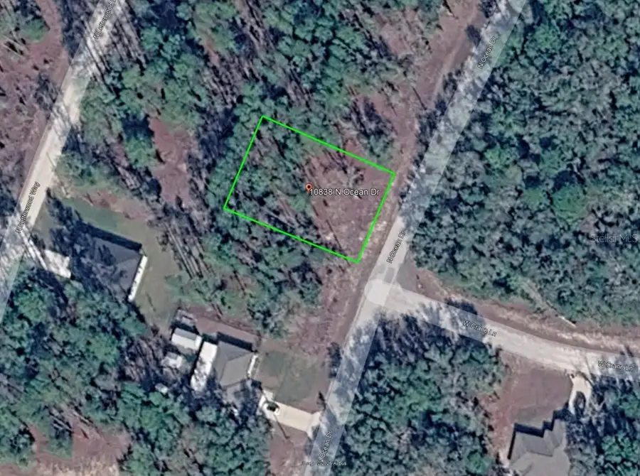 10838 N Ocean Drive, Citrus Springs, FL 34434 - #2