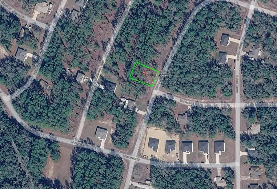 10838 N Ocean Drive, Citrus Springs, FL 34434 - #3