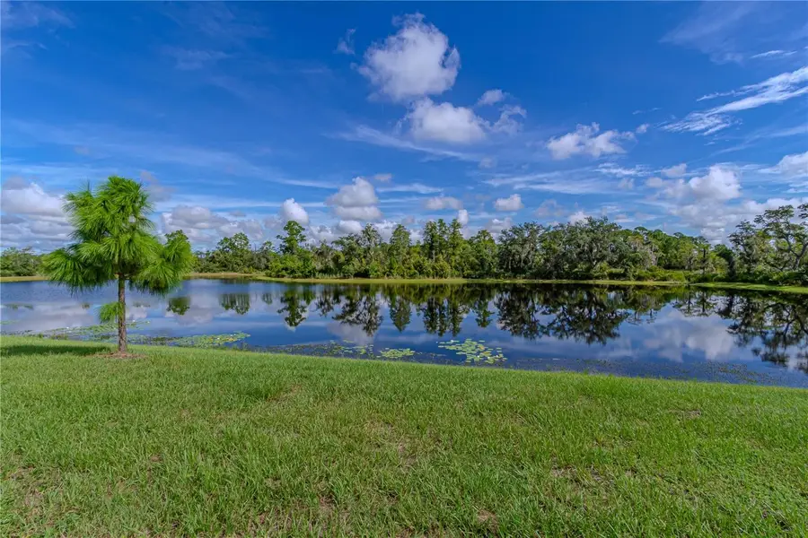 17558 Blazing Star Circle, Clermont, FL 34714 - #3