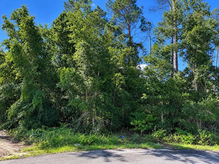 LOT 44 Short Court, Spring Hill, FL 34609 - #2