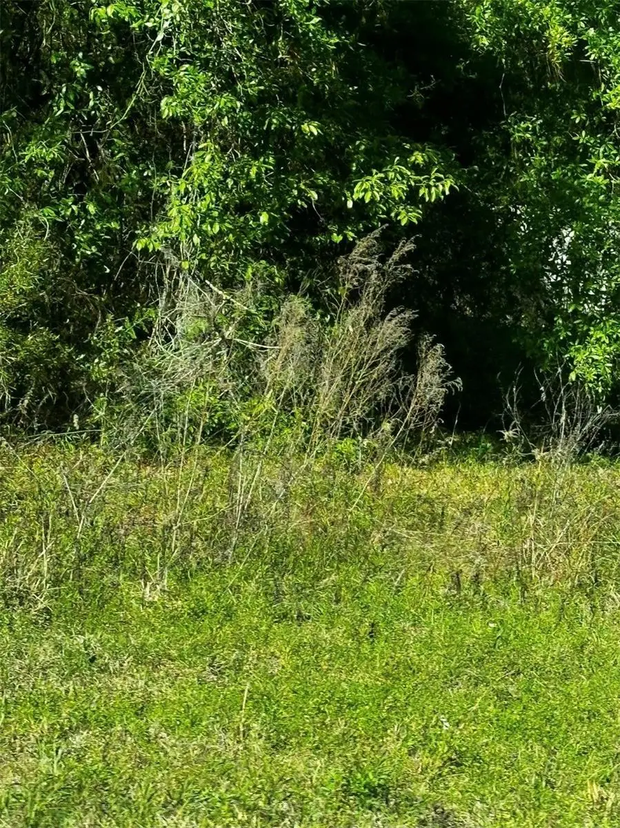 2 SW 24th Place, Ocala, FL 34481 - #2
