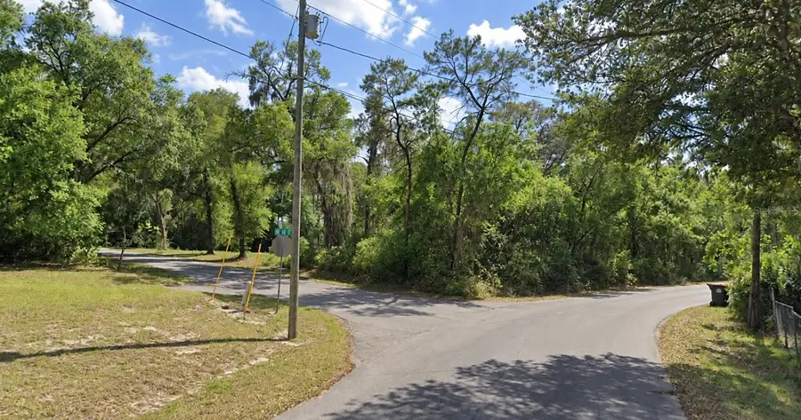Se 171st Ct, Ocklawaha, FL 32179 - #3