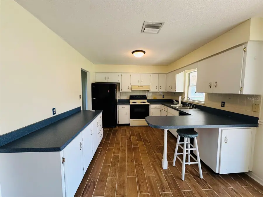 28100 Lois Drive, Tavares, FL 32778 - #3