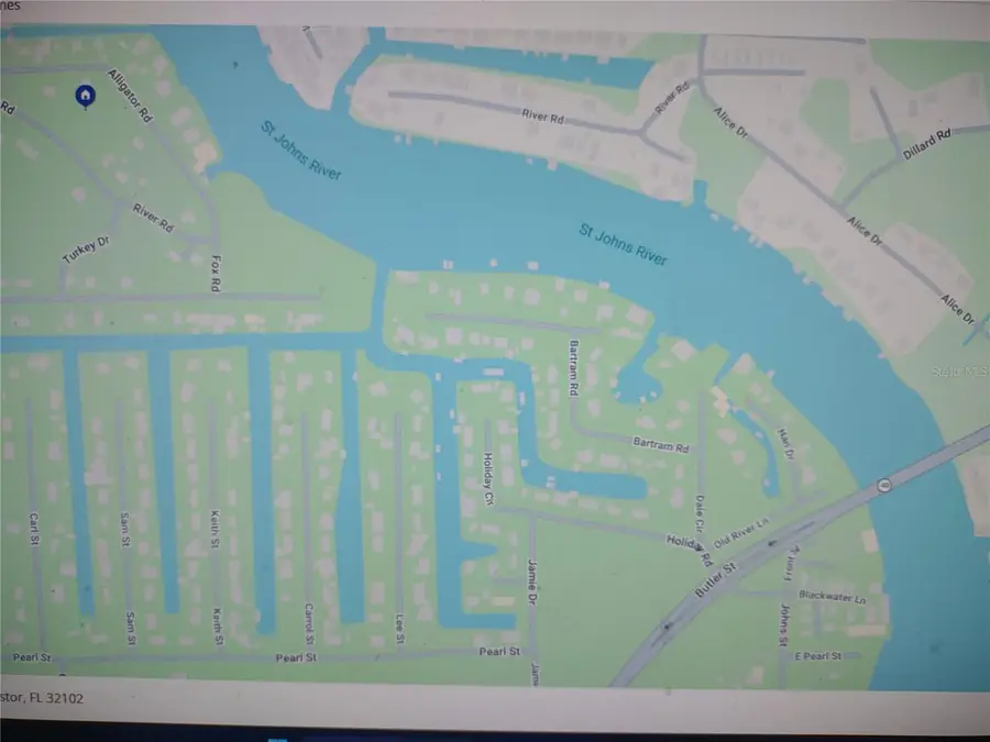 24548 Alligator Road, Astor, FL 32102 - #3