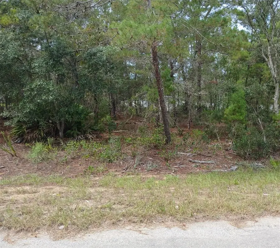 SE Fisher Course #Lot 10, Ocklawaha, FL 32179 - #2