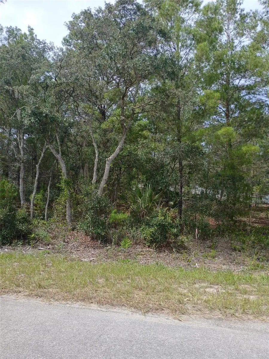 SE Fisher Course #Lot 10, Ocklawaha, FL 32179 - #3