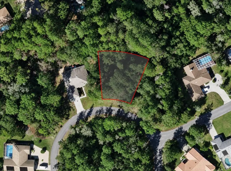 26 Wild Olive Court, Homosassa, FL 34446 - #2