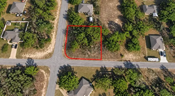 2845 W Sheila Drive, CITRUS SPRINGS, FL 34433