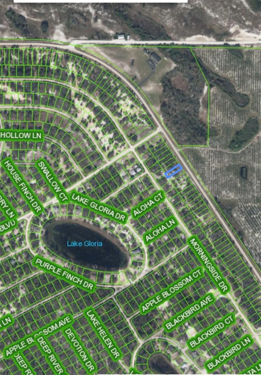 835 Cr 29, Lake Placid, FL 33852 - #1
