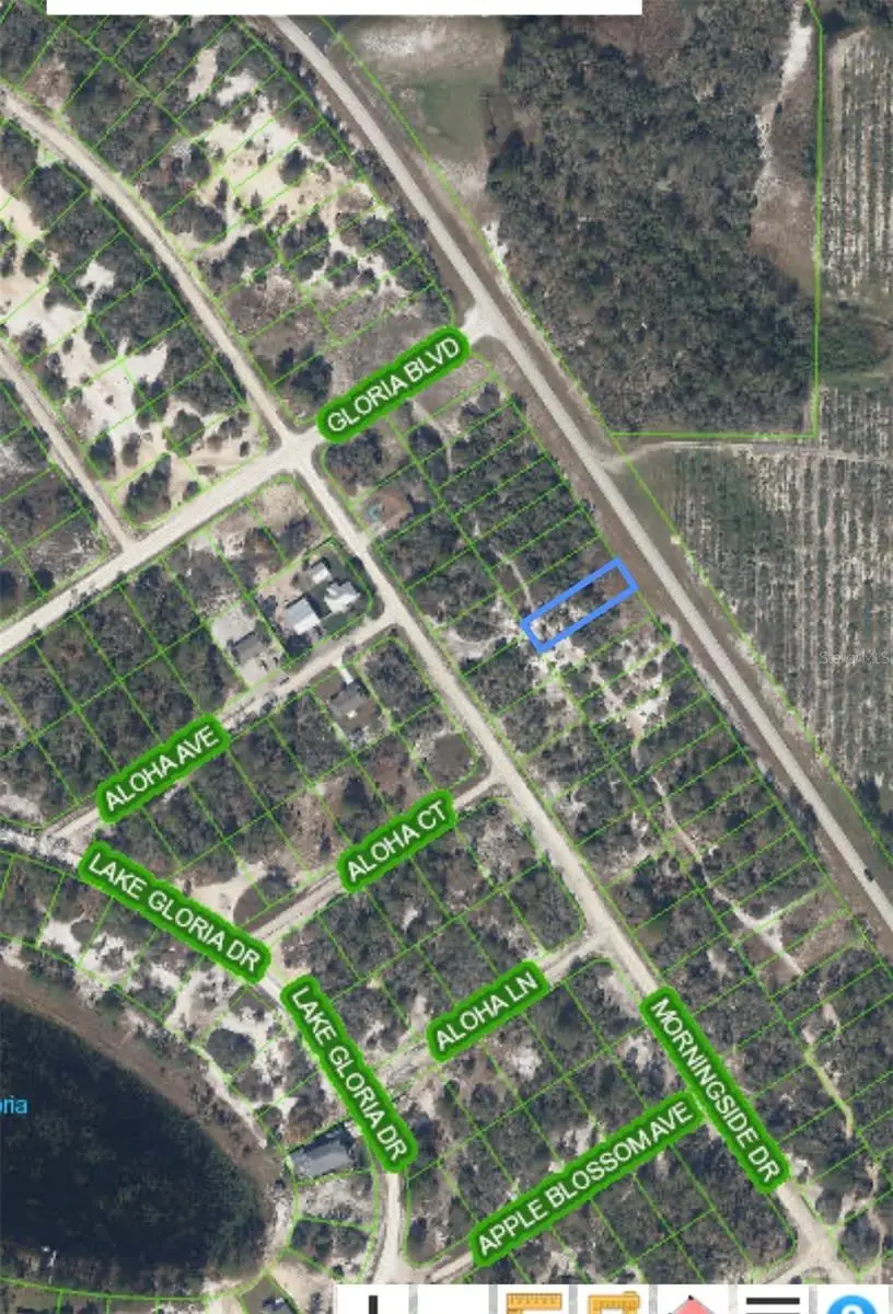835 Cr 29, Lake Placid, FL 33852 - #2
