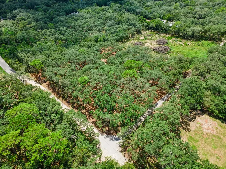 17206 Red Bird Road, Winter Garden, FL 34787 - #2