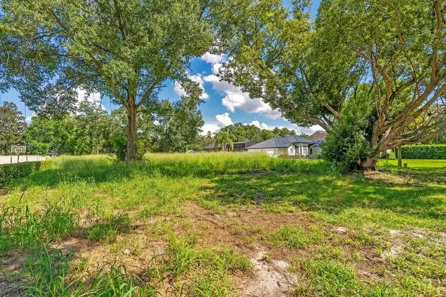 Dingens Avenue, Windermere, FL 34786 - #3