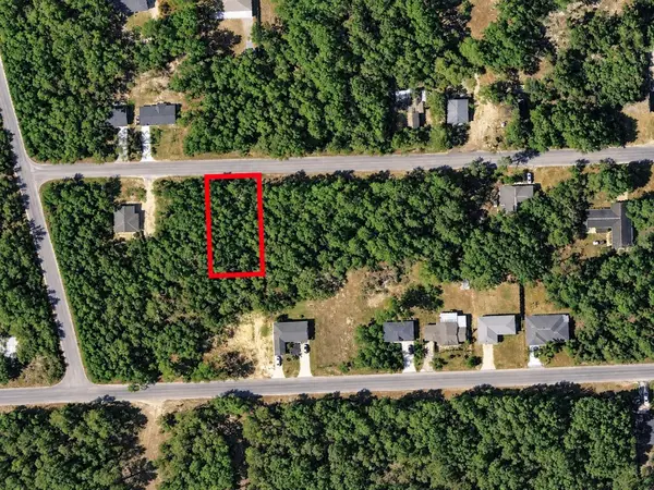 Se 170 Court, OCKLAWAHA, FL 32179