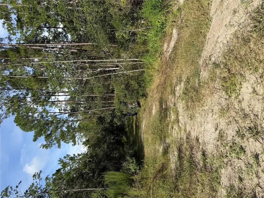 10th Avenue, Deland, FL 32724 - #2