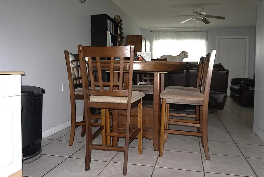 29 E Bob White Street, Apopka, FL 32712 - #3
