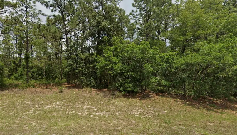 6264 SW 136th Place, Ocala, FL 34473 - #2