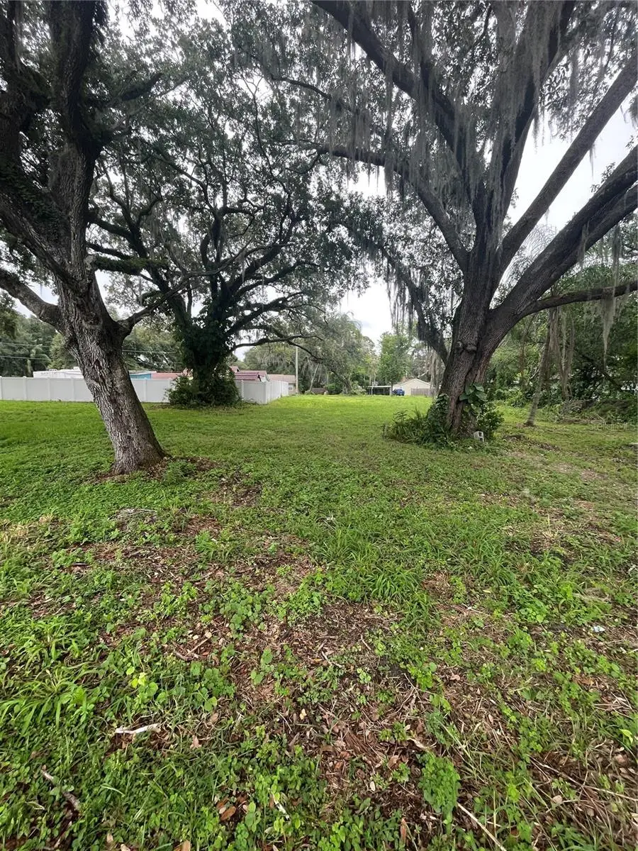 0 Pine Street, Saint Cloud, FL 34771 - #2