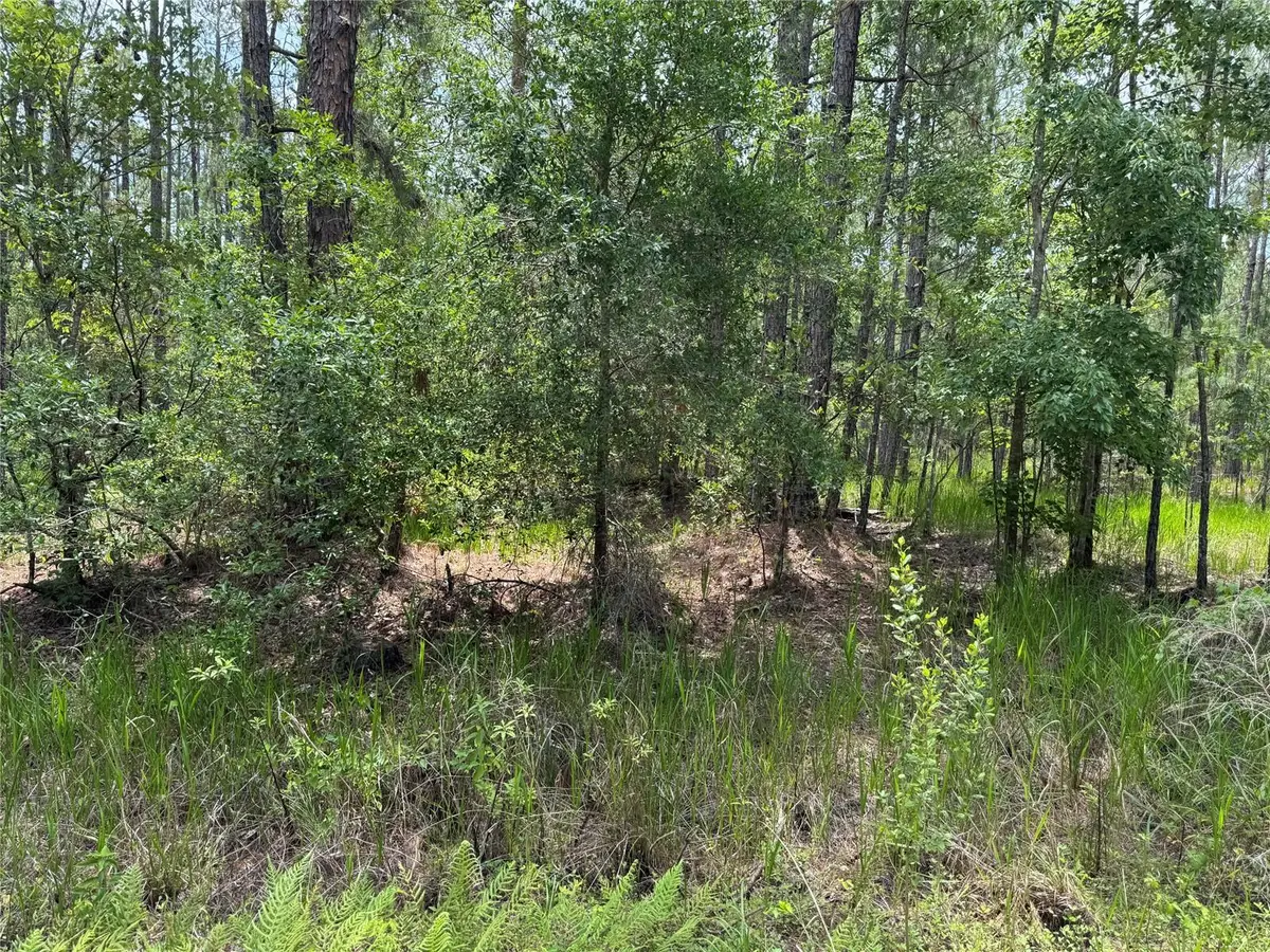 SW 143 Place, Ocala, FL 34473 - #1