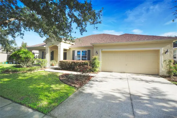 113 Blackstone Creek Road, GROVELAND, FL 34736