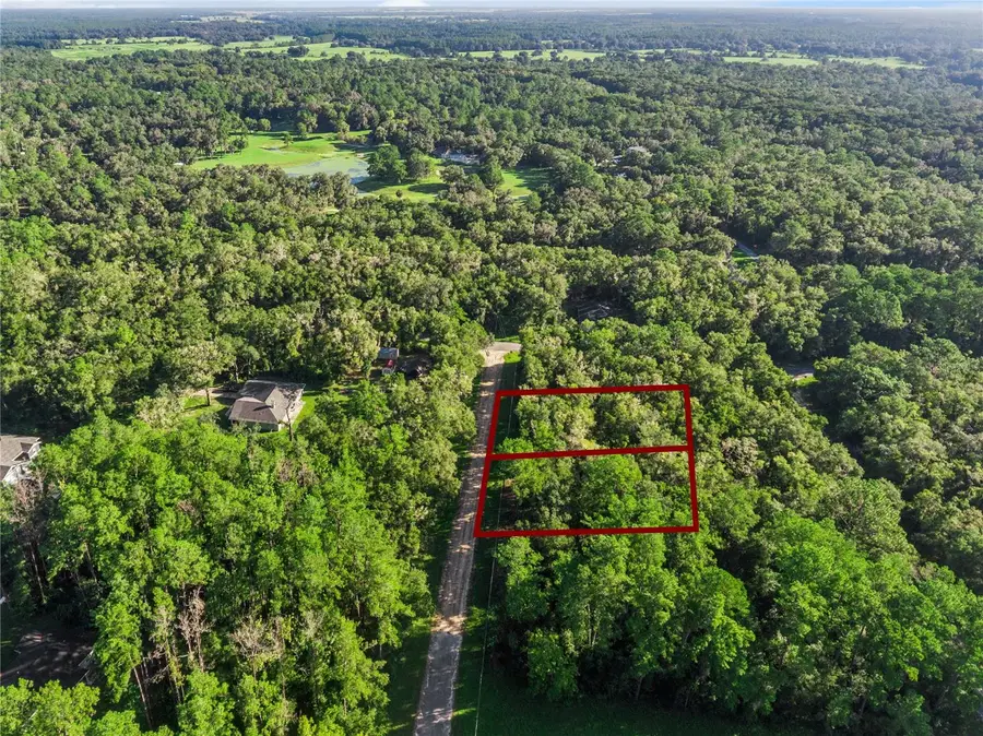 10063 N Bamboo Way, Citrus Springs, FL 34434 - #2