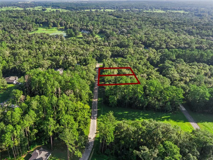 10063 N Bamboo Way, Citrus Springs, FL 34434 - #3