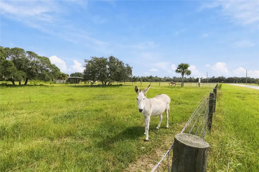 Ranch Road, Astatula, FL 34705 - #3
