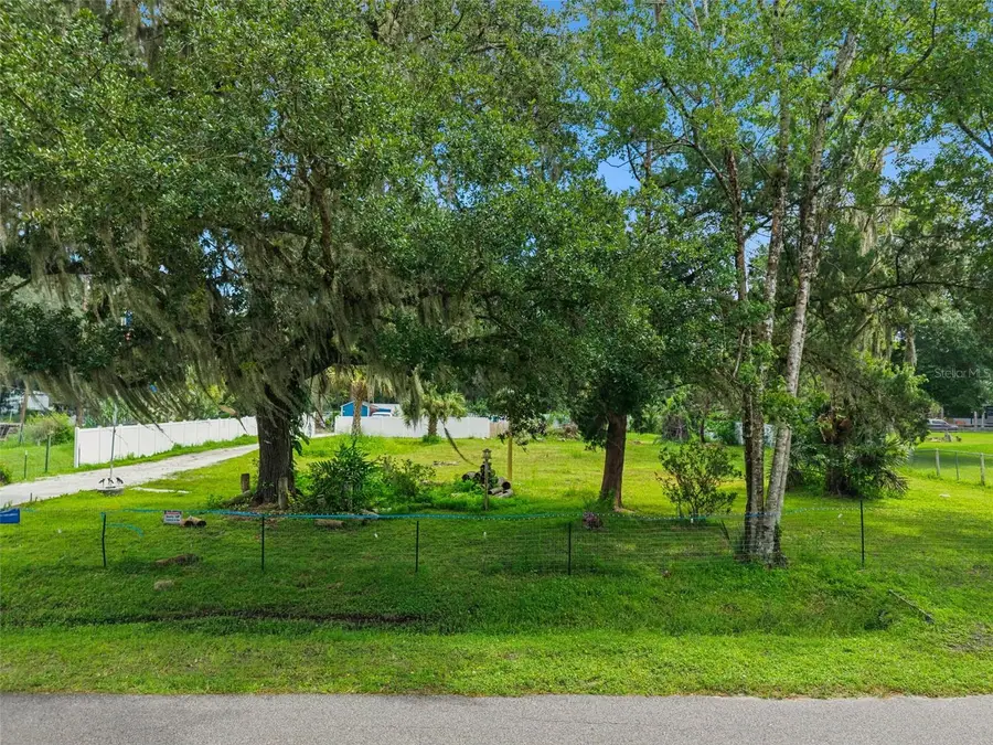 1003 Saint Catherine Avenue, Christmas, FL 32709 - #2