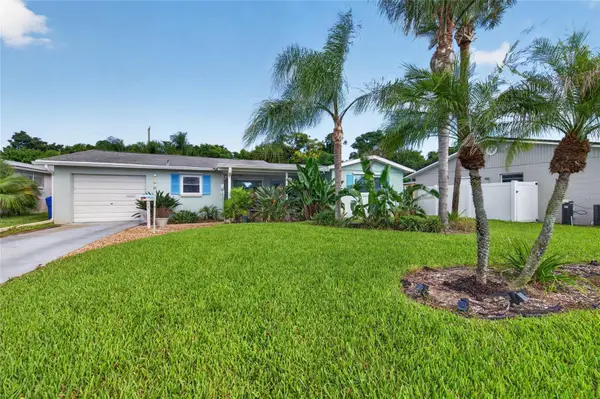 53 Rivocean Drive, ORMOND BEACH, FL 32176