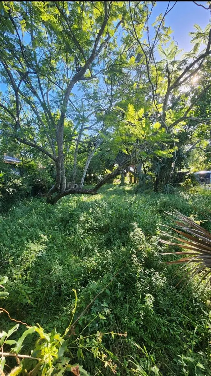 0 Erie St S, Saint Petersburg, FL 33712 - #1