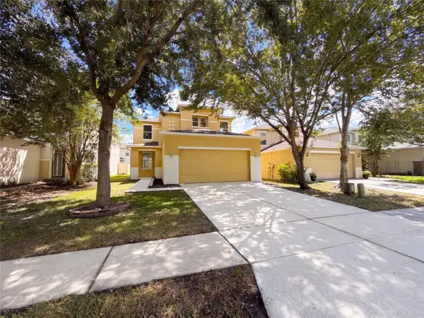 17534 Balmaha Drive, LAND O LAKES, FL 34638