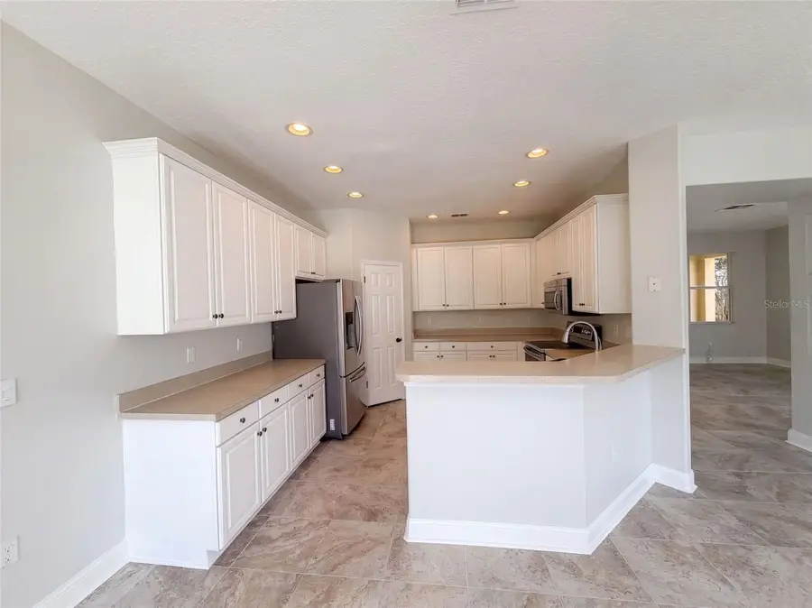 17534 Balmaha Drive, Land O Lakes, FL 34638 - #3