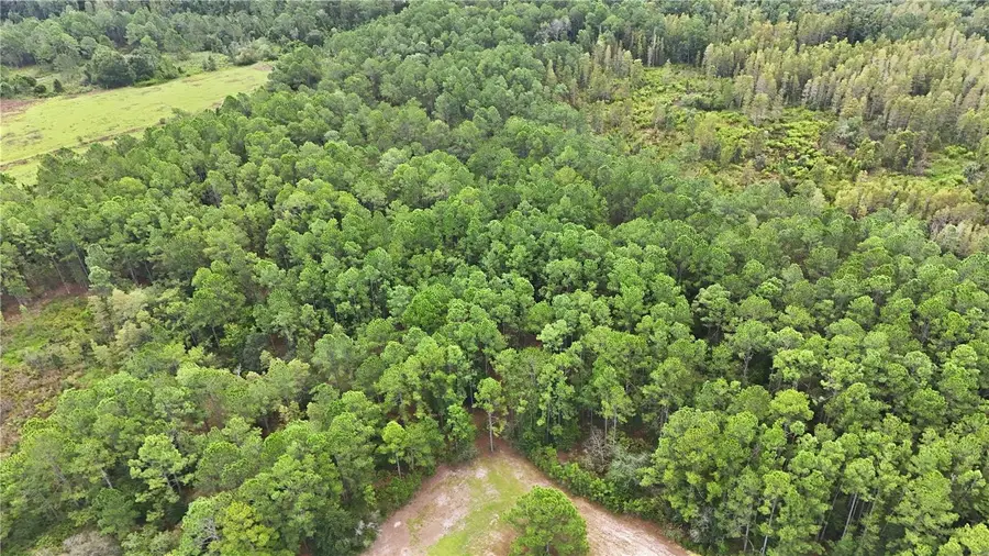 25-26-21-000000-032160, Polk City, FL 33868 - #3