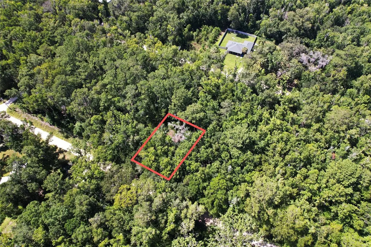 SW 13th Place, Ocala, FL 34481 - #1