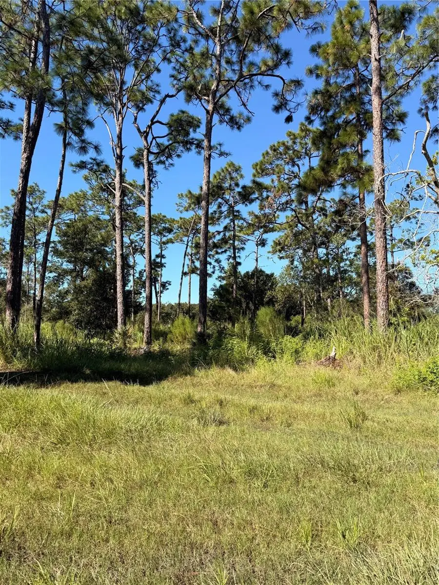 Pow Mia Memorial Drive, Saint Cloud, FL 34772 - #1