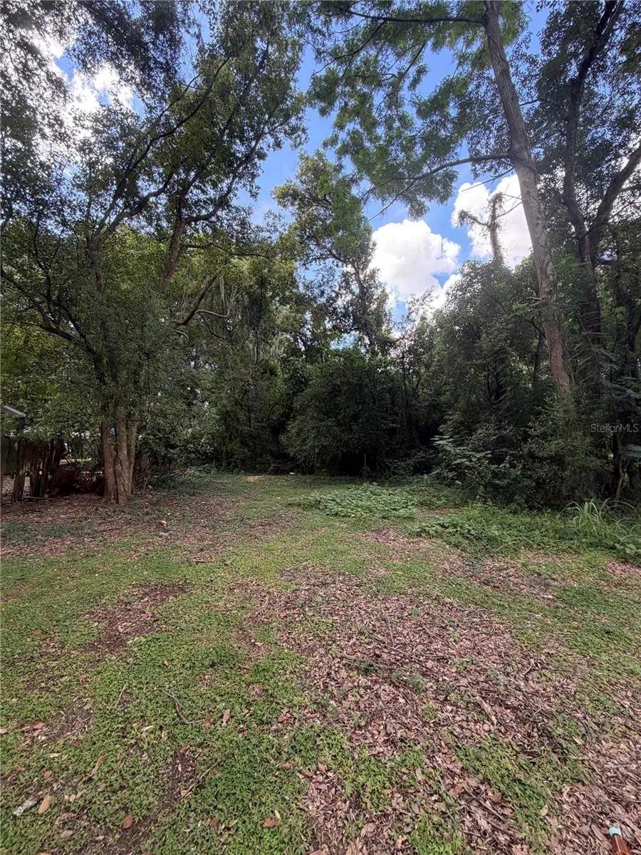 N Rhodes Street, Mount Dora, FL 32757 - #1