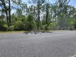 000 W Bluebell Avenue, Eustis, FL 32736 - #1