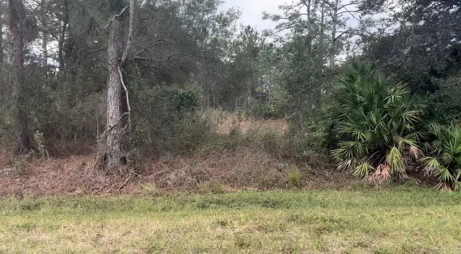 Somerset Street, Orlando, FL 32833 - #2