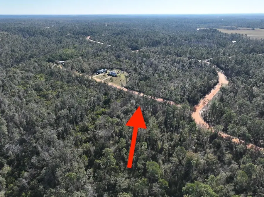 Bienville Court, Alford, FL 32420 - #3