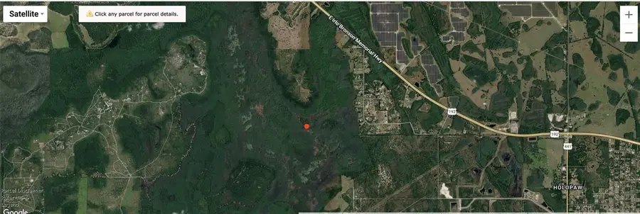 Holopaw Groves Road, Saint Cloud, FL 34773 - #2