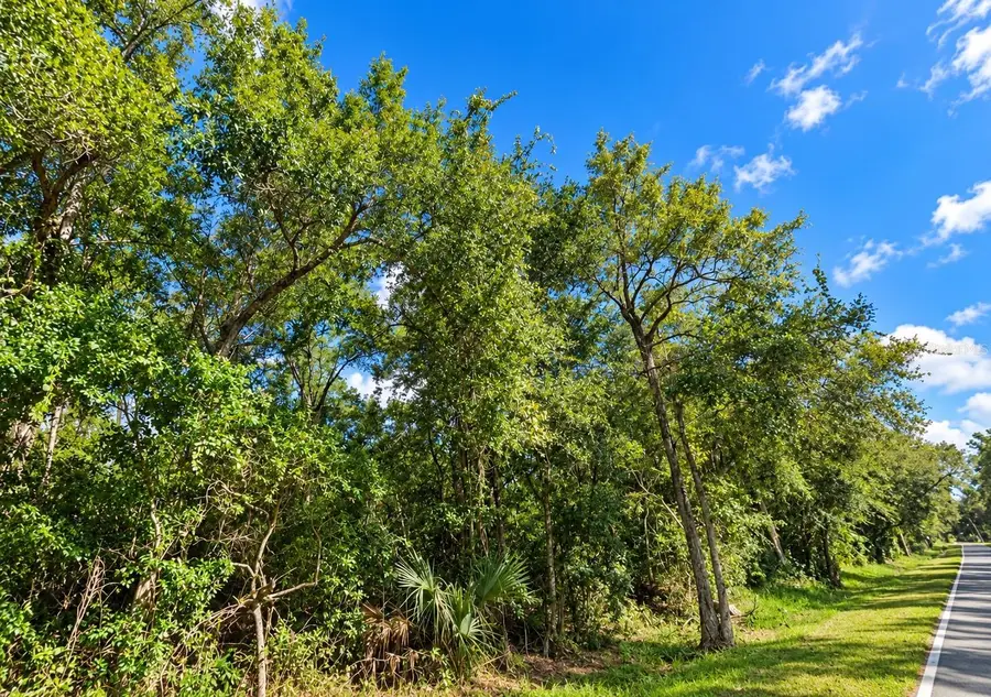 000 Old Kissimmee Road, Davenport, FL 33896 - #2