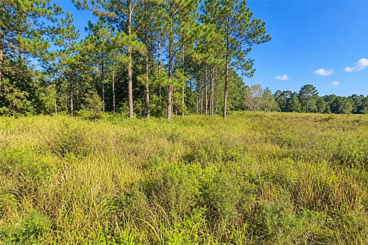 Sw 26th Lane, Ocala, FL 34481 - #1