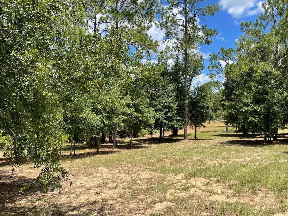 Calhoun Road, Eustis, FL 32726 - #1