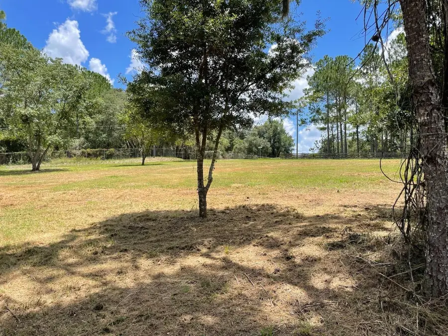 Calhoun Road, Eustis, FL 32726 - #3