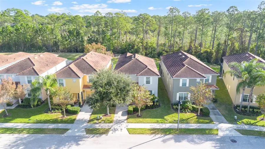 2985 Buccaneer Palm Road, Kissimmee, FL 34747 - #3