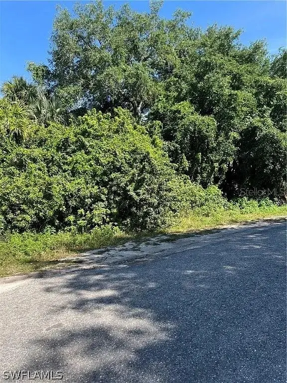 107 W 6 Street, Lehigh Acres, FL 33972 - #3