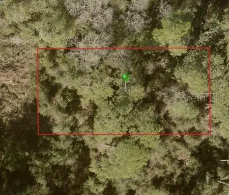10th Ave, Deland, FL 32724 - #1