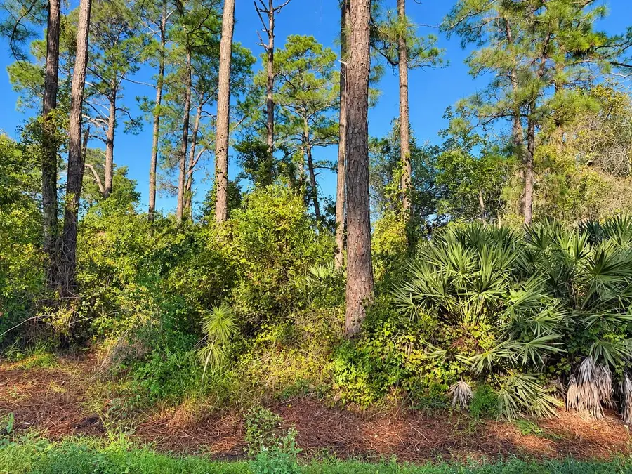 10th Ave, Deland, FL 32724 - #2