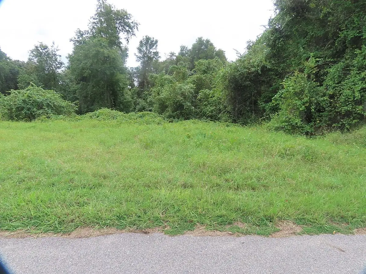 17701 Seidner Road, Winter Garden, FL 34787 - #1