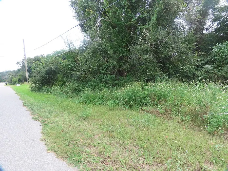 17701 Seidner Road, Winter Garden, FL 34787 - #2