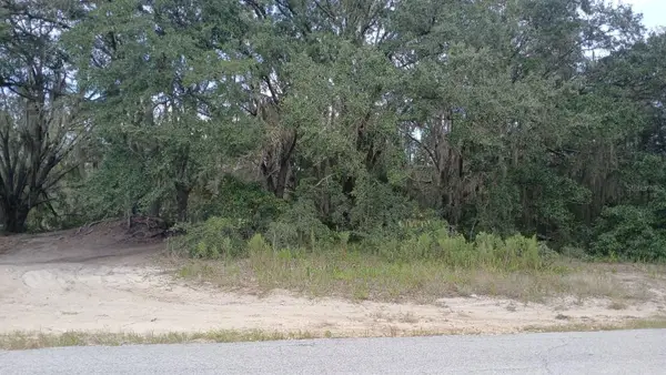 SE Malauka Loop Run Road, OCKLAWAHA, FL 32179